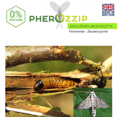 Feromonas Kriaušiniui medgręžiui (Zeuzera pyrina) Pherozzip, 1 vnt